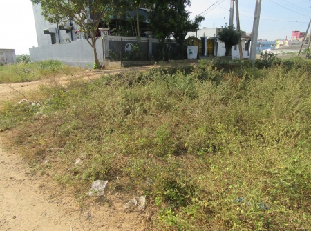 2) 40 Ankanams Residential Plot for Sale in Vidyanagar Tirupati .JPG